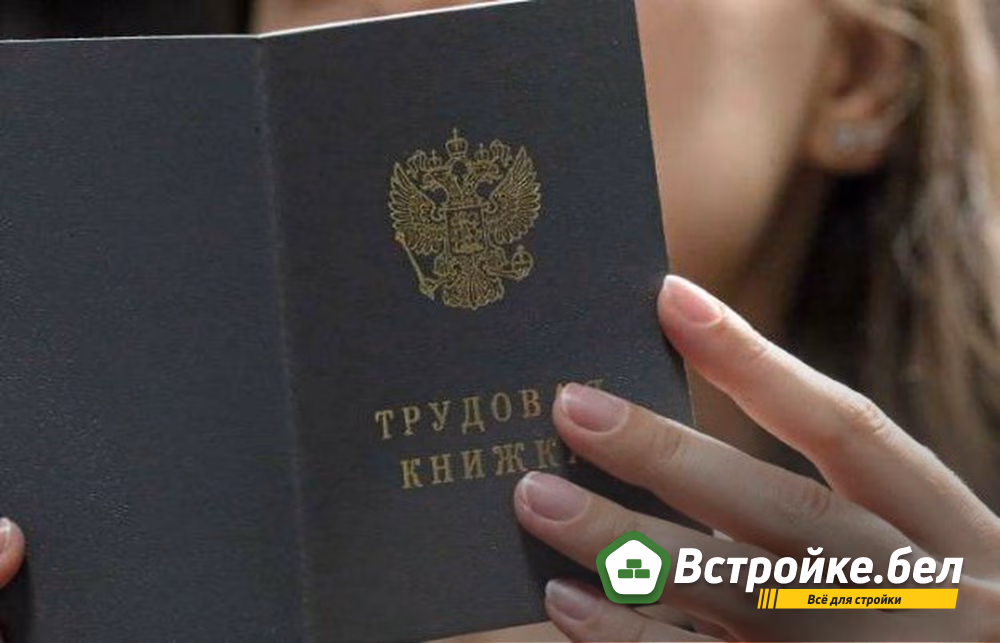 Роструд в 2025 году начнет формировать реестр работодателей с нелегальной занятостью